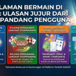 Pengalaman MAS4D